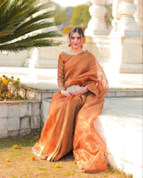 LUXURIOUS KHADI ORGANZA SAREE WITH A TOUCH OF FANCY LACE